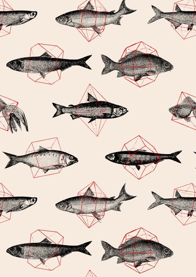 peces en geométricos de Florent Bodart