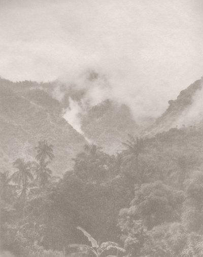 Foggy Jungle 3, 2024 (foto) de Florent Bodart