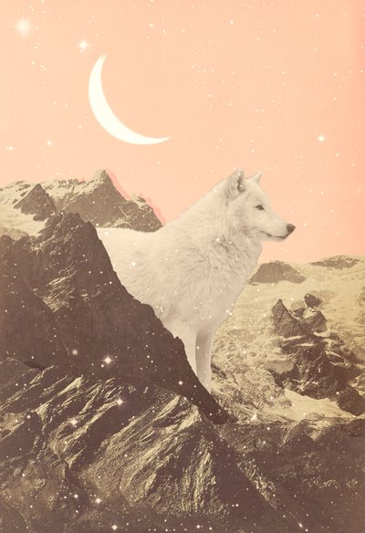 Lobo gigante en Pink Mountains, 2021 (collage) de Florent Bodart