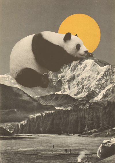 Siesta del panda en las montañas de Florent Bodart