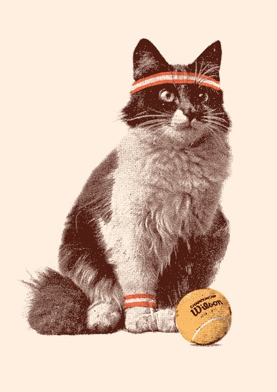 Tenis Gato, 2021 (digital) de Florent Bodart