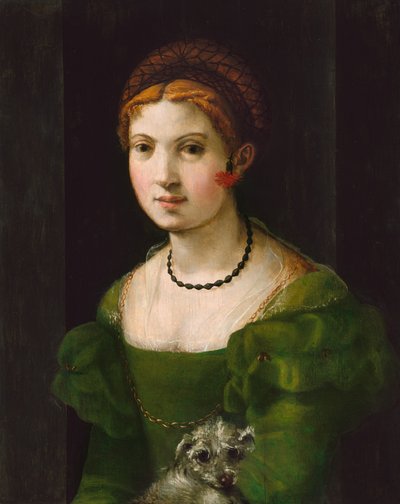 Retrato de una joven de Florentine 16th Century