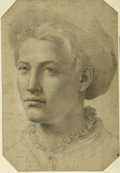 Retrato de un joven con gorra, c.1530-40 de Florentine School