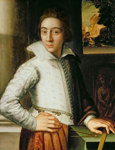 Retrato de un joven, mediados del siglo XVI de Florentine School