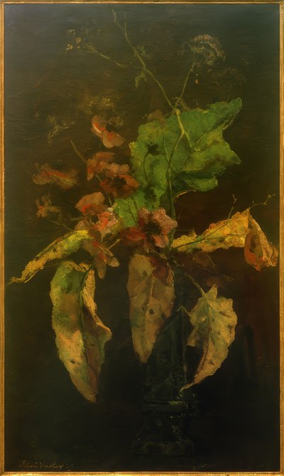 Anémonas y hojas de Floris Verster