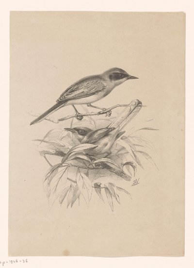 Dos pequeños pájaros en una rama de Floris Verster