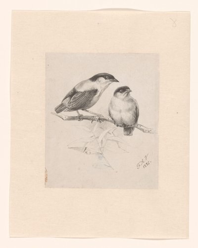 Dos tetas en una rama de Floris Verster