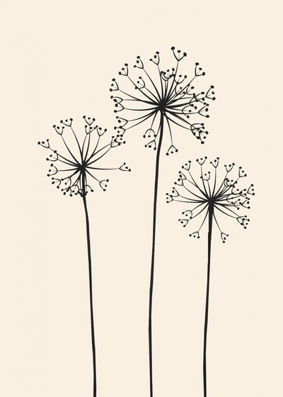 Flores de diente de león minimalistas de Flow Line