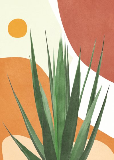 Agave del desierto moderno de Flow Line