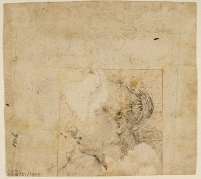 Cabeza Femenina de Perfil a la Izquierda; Boceto de Árboles y Edificio de Follower of Jacopo Bassano