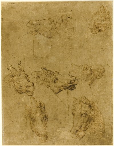 Cabezas de caballos y unicornios de Follower of Leonardo da Vinci