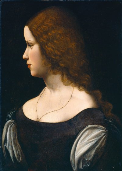 Retrato de una joven dama de Follower of Leonardo da Vinci