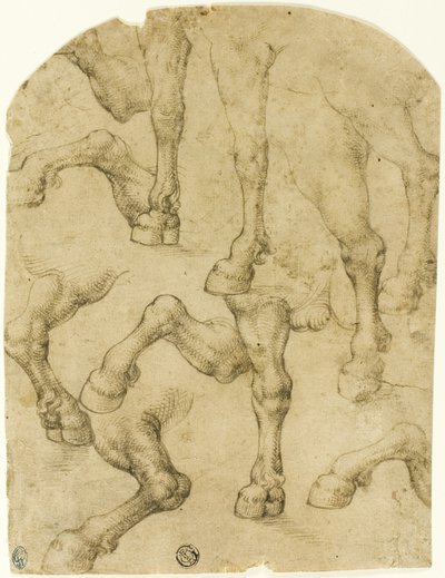 Bocetos de patas de caballos (o dromedarios) (anverso); columnas (reverso) de Follower of Leonardo da Vinci