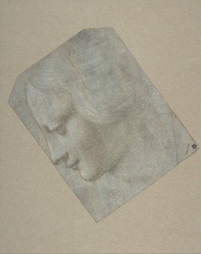 Cabeza de una mujer de perfil mirando a la izquierda de Follower of Leonardo da Vinci.