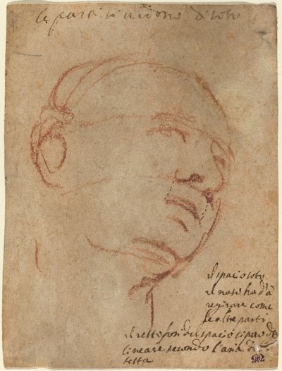 Cabeza de un hombre de Follower of Michelangelo