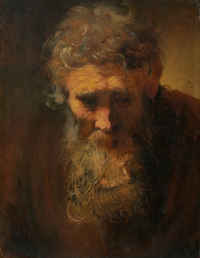 Estudio de un Hombre Viejo de Follower of Rembrandt van Rijn