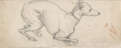 Estudio de un galgo, mediados del siglo XIX de Ford Madox Brown