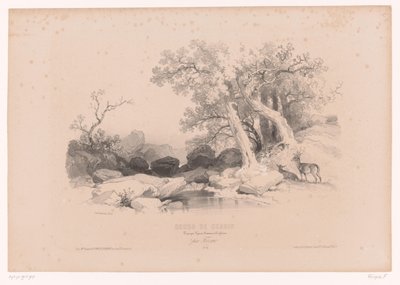Paisaje rocoso con agua y dos ciervos. Curso de dibujo con estudios de paisajes, animales y detalles (título de la serie) Curso el diseño. Paysages, figures, animaux, accessories, de Férogio (título de la serie sobre el objeto) de Fortuné Ferogio