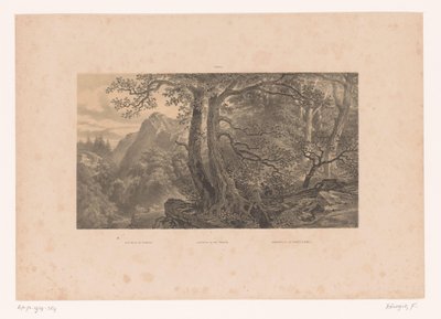 Dos cazadores en un bosque de los Pirineos
Hunting in the Pyrenees / Jagdparthie in den Pyrenaën / Cazadores de los Pirinéos (España) (título en el objeto)
Figuras en un paisaje (título de la serie) de Fortuné Ferogio