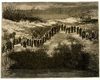 Alineaciones del menhir de Carnac. Dibujo de Victor Hugo grave por Meaulle. Extracto del texto de Hugo (En voyage en Bretagne de Fortune Louis Meaulle
