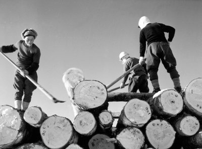 Cortadores de madera trabajando de Fosco Maraini