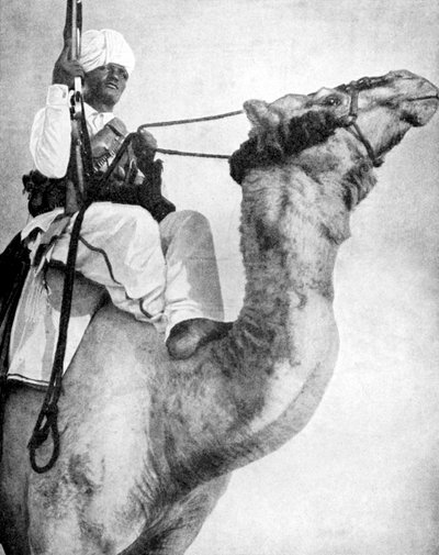 Guerrero del desierto de África, 1936 de Fox Photos
