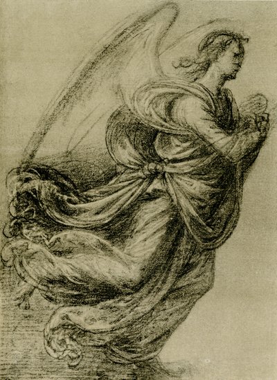 Estudio de ángel de Fra Bartolomeo