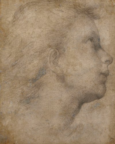 Cabeza de un ángel en perfil mirando hacia arriba a la derecha de Fra Bartolomeo