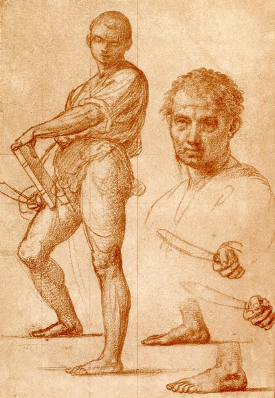 Estudio sobre San Bartolomé de Fra Bartolomeo