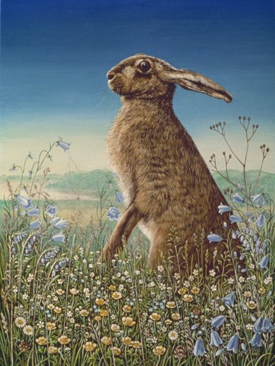 Liebre de Frances Broomfield