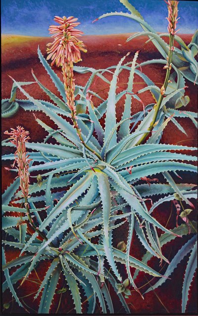 Aloe de Frances Ferdinands