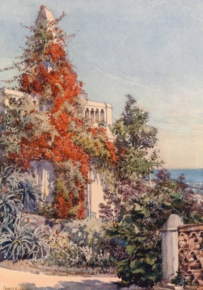 Bougainvillaea, Argel (litografía en color) de Frances Nesbitt