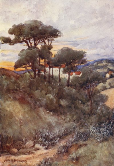 Stone Pines, Argel (litografía en color) de Frances Nesbitt
