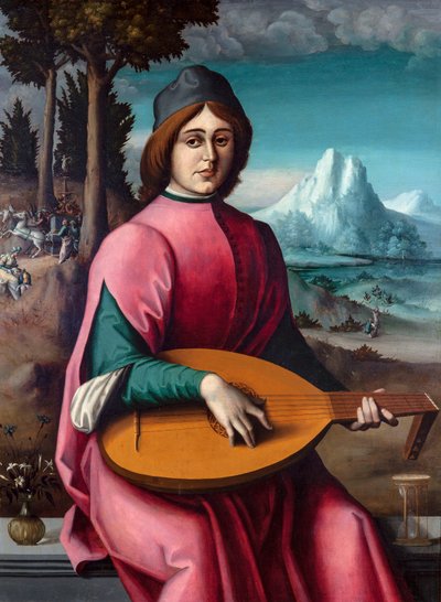 Inglés americano:  Retrato de un joven tañedor de laúd Retrato de un joven tañedor de laúd de Francesco Bacchiacca