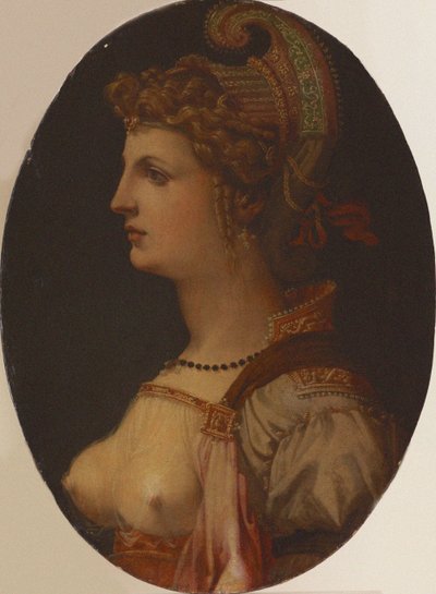 Retrato ideal de una dama Retrato de Vittoria Colonna de Francesco Bacchiacca