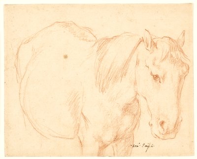 Un caballo de Francesco Fernandi