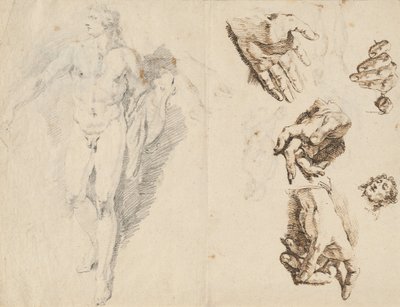 Apolo y estudios de la propia mano del artista [anverso] de Francesco Fontebasso