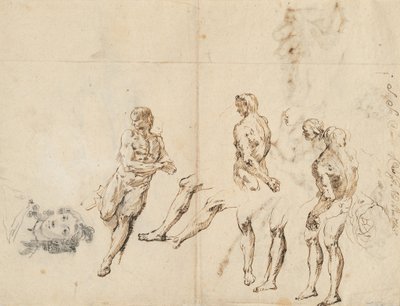 Cabeza de una mujer y estudios de un desnudo masculino (verso) de Francesco Fontebasso