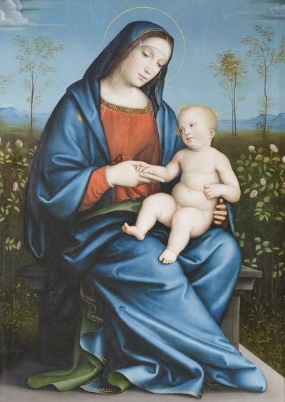 Virgen con el Niño en la rosaleda, Raibolini Francesco llamado Francesco Francia (óleo sobre tabla) de Francesco Francia