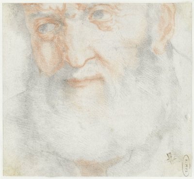 Cabeza de un anciano con barba de Francesco Furini (attributed to)