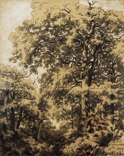 Bosque de Fontainebleau de Francesco Gamba