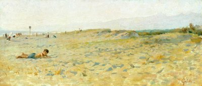 Playa en Cinquale de Francesco Gioli (1846-1922), óleo sobre tabla de Francesco Gioli