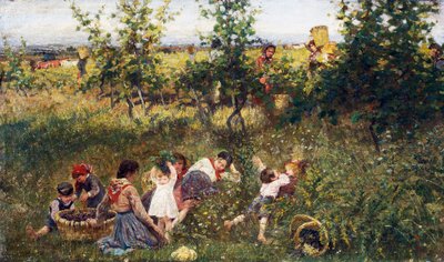 Vendimia, Pintura de Francesco Gioli (1846-1922), Óleo sobre lienzo, 39, 5x66 cm de Francesco Gioli