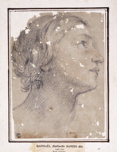 La Cabeza de una Mujer, de perfil a la derecha de Francesco Giovanni Gessi