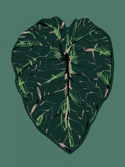  de Francesco Gulina
