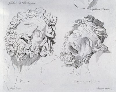 Cabezas de Laocoonte y Centauro moribundo por Canova de Francesco Hayez