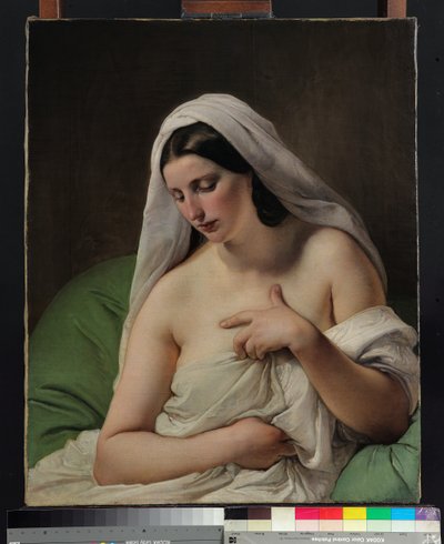 La odalisca de Francesco Hayez