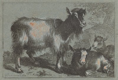 Cabra y dos cabritos, 1758 de Francesco Londonio