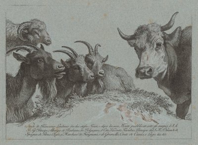 Estudio de Cabezas: Tres Cabras, un Buey y un Carnero de Francesco Londonio