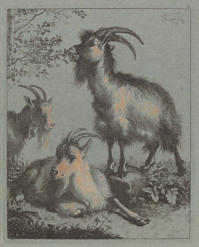 Tres cabras de Francesco Londonio